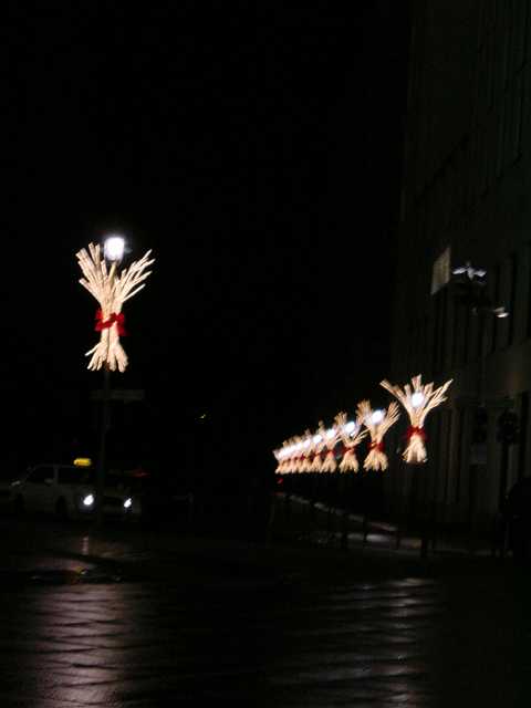 Picture 063.jpg